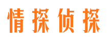 古城市侦探调查公司